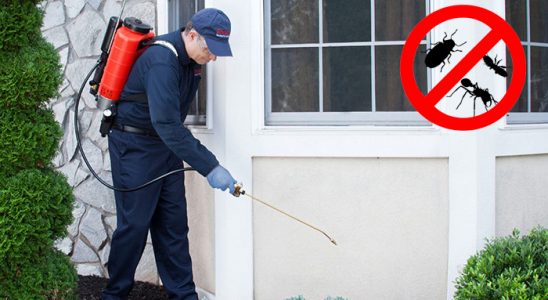 Uzunköprü Gümüşkurt İlaçlama böcek ilaçlama ve haşere kontrolü — ilaclama-tr.com